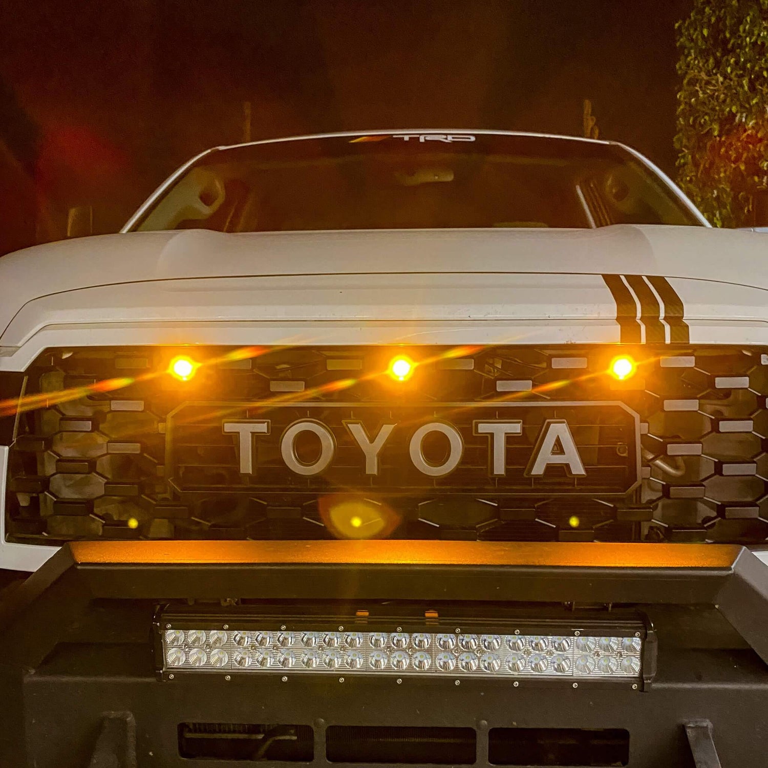 Sequoia - Yota Leds